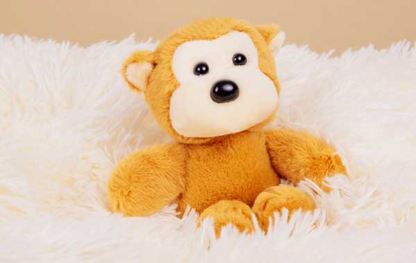 Filling Soft Toys